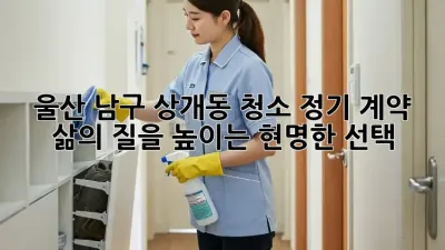 울산 남구 상개동 청소 정기 계약: 삶의 질을 높이는 현명한 선택