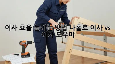 이사 효율 높이는 방법: 나홀로 이사 vs 이사 도우미